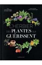 HERBIER DES PLANTES QUI GUERISSENT - VIGNES PIERRE - Larousse