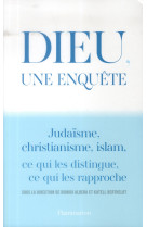 DIEU, UNE ENQUETE - ALBERA/BERTHELOT - Flammarion