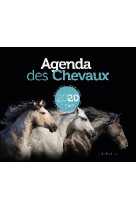 AGENDA DES CHEVAUX 2020 - - GESTE
