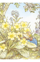 Carnet Printemps - XXX - QILINN
