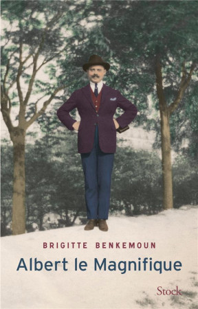 ALBERT LE MAGNIFIQUE - BENKEMOUN BRIGITTE - Stock