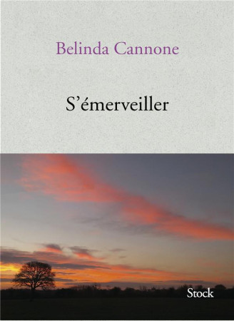 S-EMERVEILLER - CANNONE BELINDA - Stock