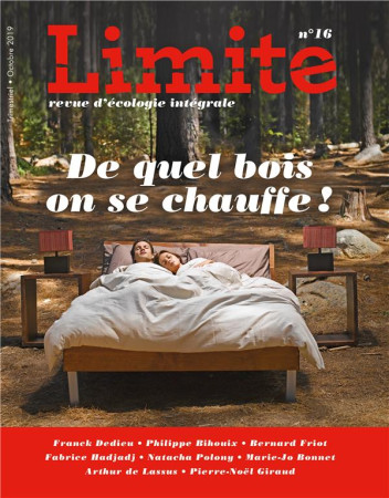 LIMITE NO 16 / DE QUEL BOIS ON SE CHAUFFE - COMITE DE REDACTION - NC