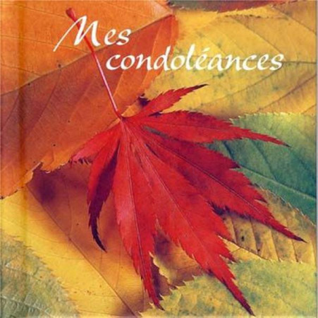 MES CONDOLEANCES - COLLECTIF - MEDIASPAUL