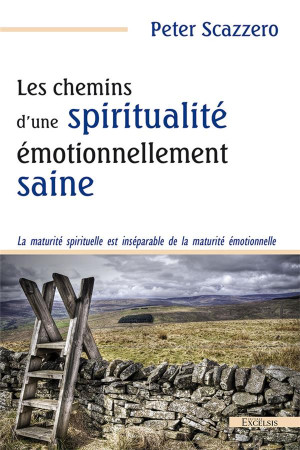 CHEMINS D-UNE SPIRITUALITE EMOTIONNELLEMENT SAINE - SCAZZERO PETER - EXCELSIS