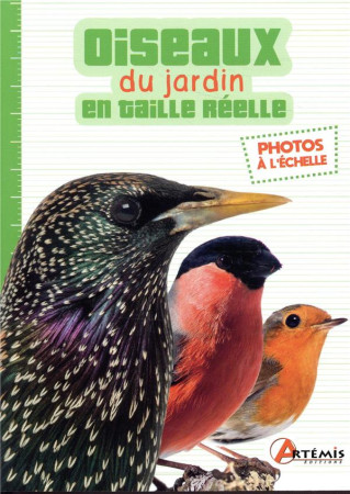 OISEAUX DU JARDIN EN TAILLE REELLE - COLLECTIF - ARTEMIS