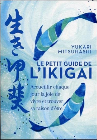 PETIT GUIDE DE L-IGIKAI (LE) - MITSUHASHI YUKARI - CONTRE DIRES