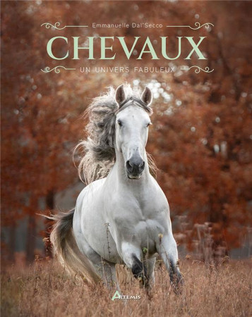CHEVAUX : UN UNIVERS FABULEUX - DAL-SECCO EMMANUELLE - ARTEMIS