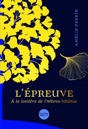 EPREUVE (L') - A LA LUMIERE DE L'HEBREU BIBLIQUE - XXX - BIBLI O